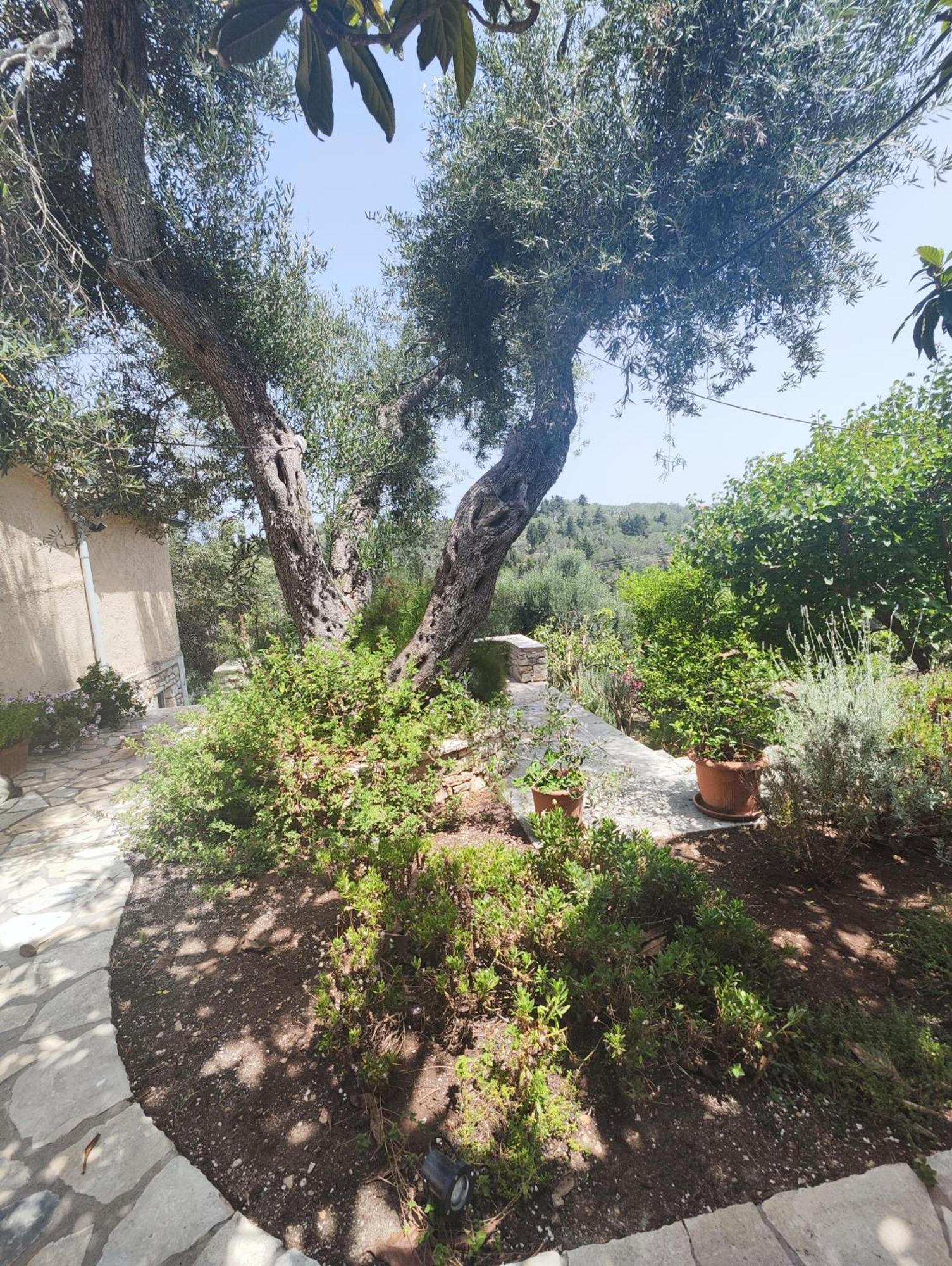 Rania'S Cottage Лакка Экстерьер фото